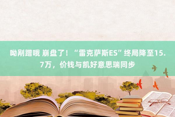 呦剐蹭哦 崩盘了！“雷克萨斯ES”终局降至15.7万，价钱与凯好意思瑞同步