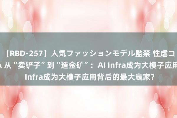 【RBD-257】人気ファッションモデル監禁 性虐コレクション3 AYA 从“卖铲子”到“造金矿”：AI Infra成为大模子应用背后的最大赢家？