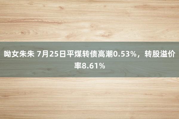 呦女朱朱 7月25日平煤转债高潮0.53%，转股溢价率8.61%