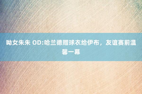 呦女朱朱 OD:哈兰德赠球衣给伊布，友谊赛前温馨一幕