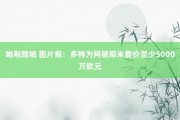 呦剐蹭哦 图片报：多特为阿德耶米要价至少5000万欧元