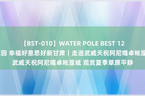 【BST-010】WATER POLE BEST 12GALs 8時間 咱们的家园 幸福好意思好新甘肃｜走进武威天祝阿尼嘎卓帐篷城 观赏夏季草原平静