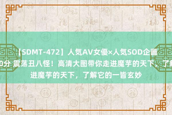 【SDMT-472】人気AV女優×人気SOD企画 女優祭7時間40分 震荡丑八怪！高清大图带你走进魔芋的天下，了解它的一皆玄妙