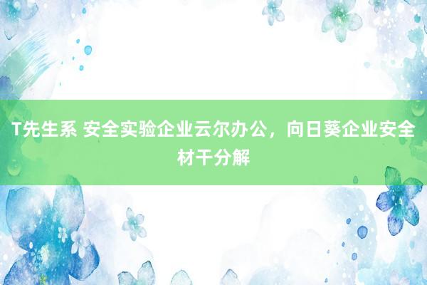 T先生系 安全实验企业云尔办公，向日葵企业安全材干分解