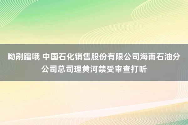 呦剐蹭哦 中国石化销售股份有限公司海南石油分公司总司理黄河禁受审查打听