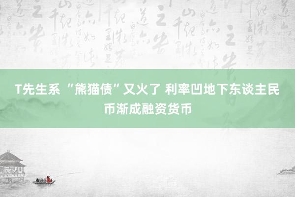 T先生系 “熊猫债”又火了 利率凹地下东谈主民币渐成融资货币