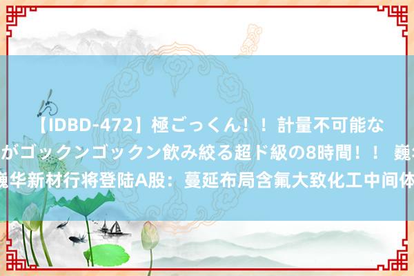 【IDBD-472】極ごっくん！！計量不可能な爆量ザーメンをS級女優がゴックンゴックン飲み絞る超ド級の8時間！！ 巍华新材行将登陆A股：蔓延布局含氟大致化工中间体 盈利才能望合手续普及