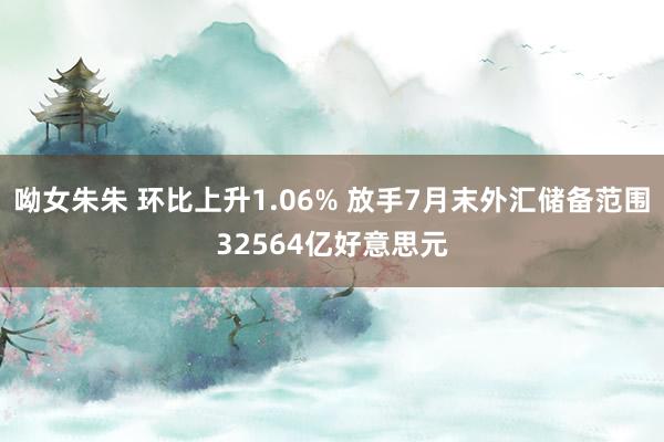 呦女朱朱 环比上升1.06% 放手7月末外汇储备范围32564亿好意思元