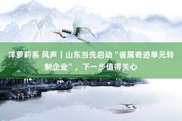 洋萝莉系 风声｜山东当先启动“省属奇迹单元转制企业”，下一步值得关心