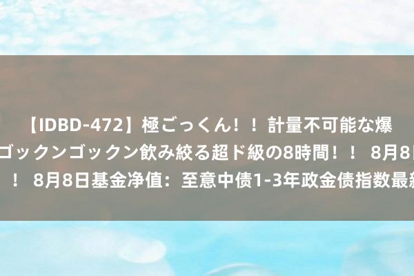 【IDBD-472】極ごっくん！！計量不可能な爆量ザーメンをS級女優がゴックンゴックン飲み絞る超ド級の8時間！！ 8月8日基金净值：至意中债1-3年政金债指数最新净值1.0399