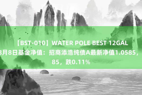 【BST-010】WATER POLE BEST 12GALs 8時間 8月8日基金净值：招商添浩纯债A最新净值1.0585，跌0.11%