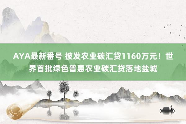 AYA最新番号 披发农业碳汇贷1160万元！世界首批绿色普惠农业碳汇贷落地盐城