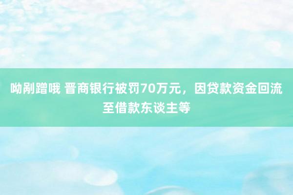 呦剐蹭哦 晋商银行被罚70万元，因贷款资金回流至借款东谈主等