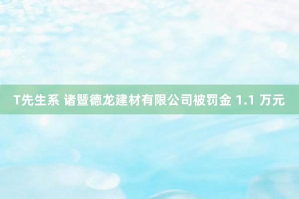 T先生系 诸暨德龙建材有限公司被罚金 1.1 万元