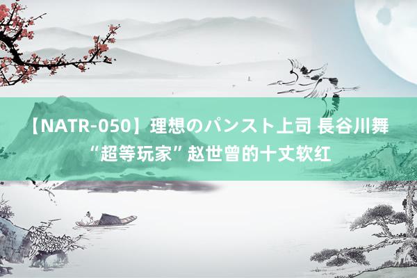 【NATR-050】理想のパンスト上司 長谷川舞 “超等玩家”赵世曾的十丈软红