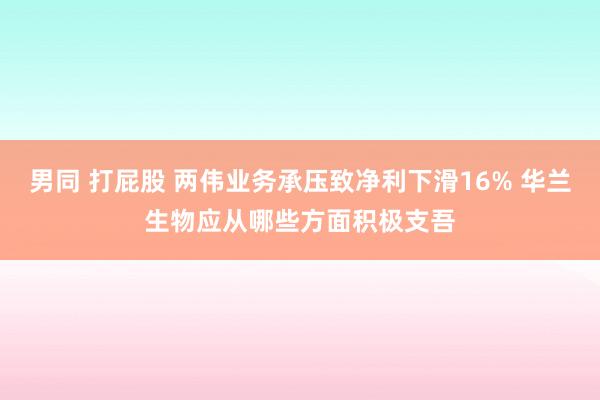 男同 打屁股 两伟业务承压致净利下滑16% 华兰生物应从哪些方面积极支吾