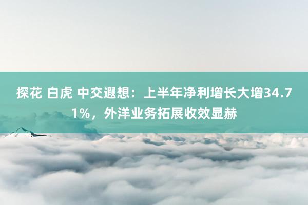 探花 白虎 中交遐想：上半年净利增长大增34.71%，外洋业务拓展收效显赫