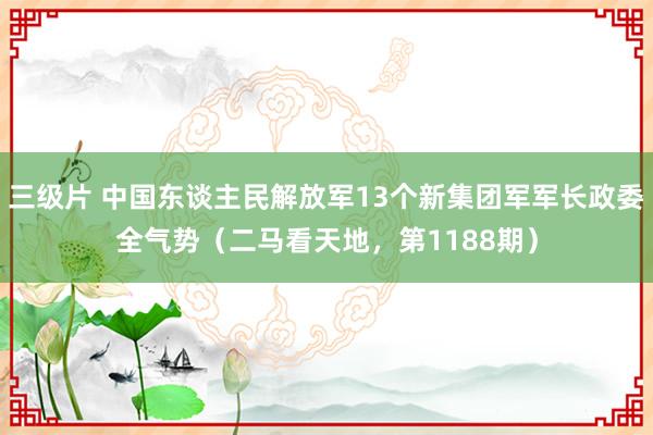 三级片 中国东谈主民解放军13个新集团军军长政委全气势（二马看天地，第1188期）