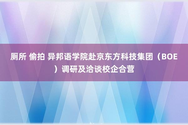 厕所 偷拍 异邦语学院赴京东方科技集团（BOE）调研及洽谈校企合营