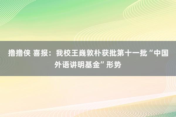 撸撸侠 喜报：我校王巍敦朴获批第十一批“中国外语讲明基金”形势