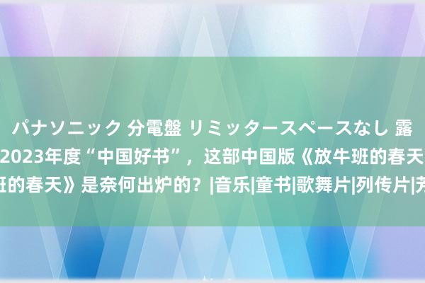 パナソニック 分電盤 リミッタースペースなし 露出・半埋込両用形 入选2023年度“中国好书”，这部中国版《放牛班的春天》是奈何出炉的？|音乐|童书|歌舞片|列传片|芳华电影|童声齐唱团