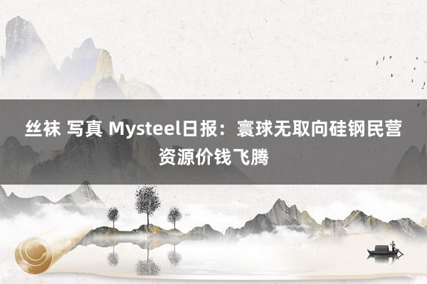 丝袜 写真 Mysteel日报：寰球无取向硅钢民营资源价钱飞腾