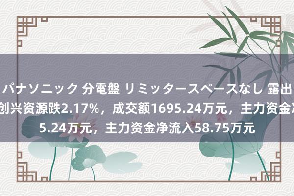 パナソニック 分電盤 リミッタースペースなし 露出・半埋込両用形 创兴资源跌2.17%，成交额1695.24万元，主力资金净流入58.75万元